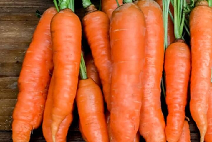 Grow Vibrant Orange Carrot Seeds | Plantshop.me UAE