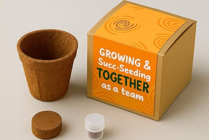 Mini Boxed Plant Grow Kit: Eco-Friendly Corporate Gifts UAE