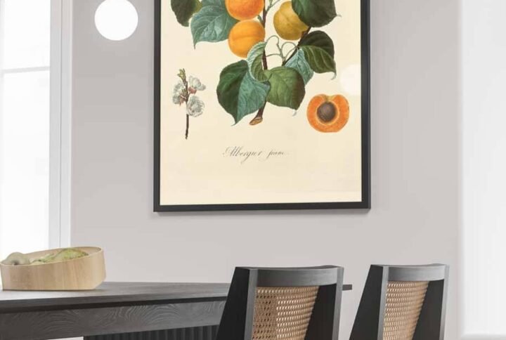 Peach Poster 33x48cm - Accessories | Plantshop.me