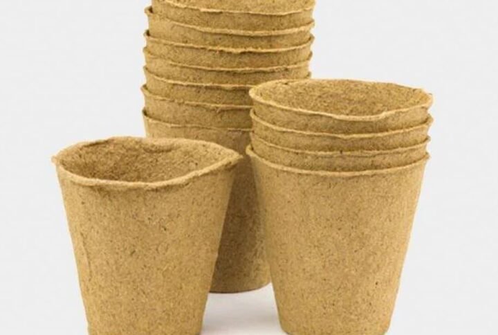 Purchase Biodegradable Peat Pots | Plantshop.me UAE