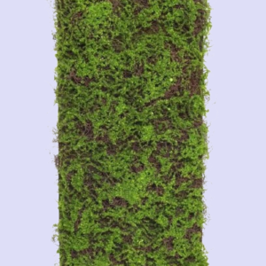 Artificial Moss Mat Grass – Artificial Plants