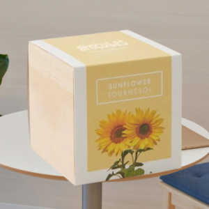 Eco-Friendly Corporate Gifts