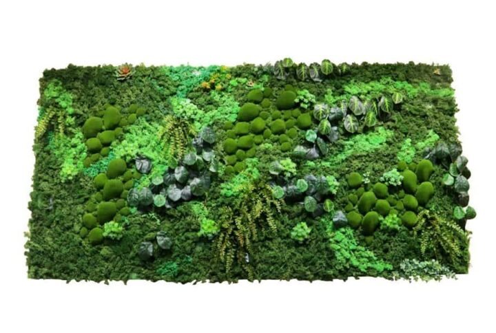 Artificial Fern Moss Wall Art - Artificial Plants | Plantshop.me