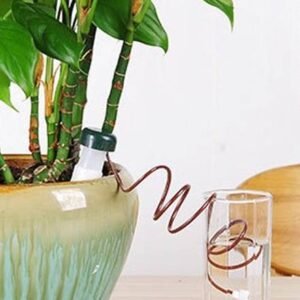 Automatic Plant Waterers - Gardening Accessories | Plantshop.me