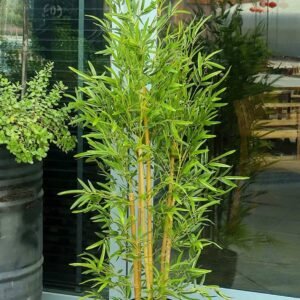 Bamboo Palm Artificial 160cm - Artificial Plants | Plantshop.me
