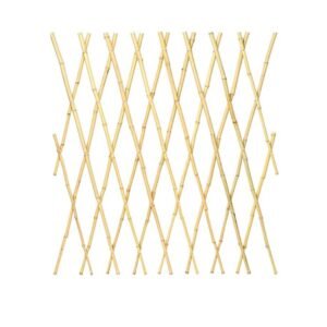Bamboo Trellis - Accessories | Plantshop.me