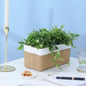 Beige Recta Pot- Pots | Plantshop.me