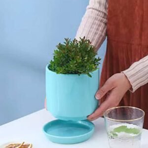 Bluo Ceramic Pot: Elevate Your Plants | Plantshop.me UAE