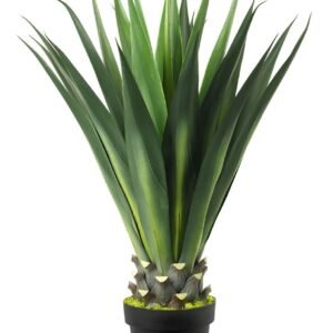 Buy Agave Green Artificial Online | Plantshop.me UAE