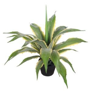 Buy Agave Varigated Artificial | Plantshop.me UAE