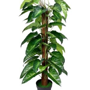 Buy Artificial Philodendron Scandens Plant | Plantshop.me