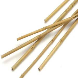 Buy Bamboo Garden Sticks for Plant Support | Plantshop.me