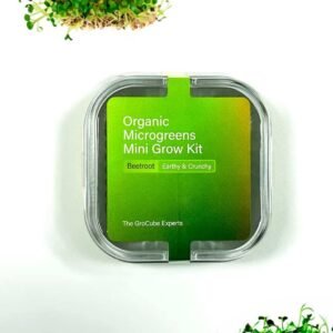 Buy Beetroot Mini Microgreen Grow Kit | Plantshop.me