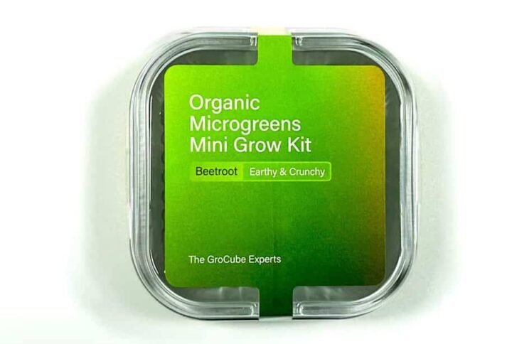 Buy Beetroot Mini Microgreen Grow Kit | Plantshop.me