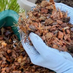 Buy Coco Chip Husk Online - Plantshop.me