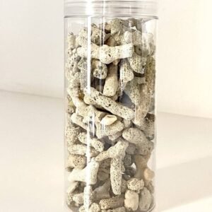 Buy Coral Stones Online - Best Deals at Plantshop.me UAE