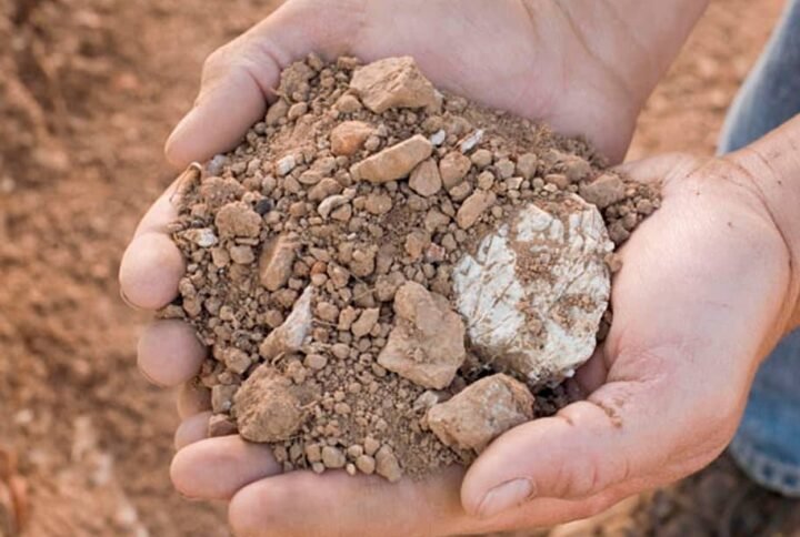 Buy Garden Clay Soil: Enrich Your Plants | Plantshop.me