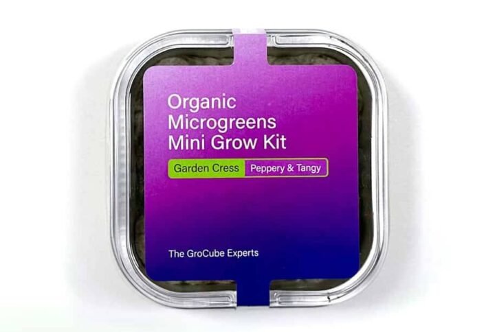 Buy Garden Cress - Mini Microgreen Grow Kit Online