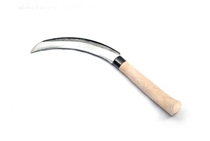 Buy Gardening Grass Cutter - Plantshop.me UAE