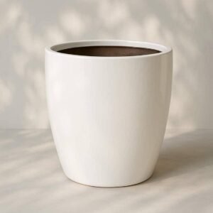 Buy Glaze White Ceramic Pot Online – Plantshop.me UAE