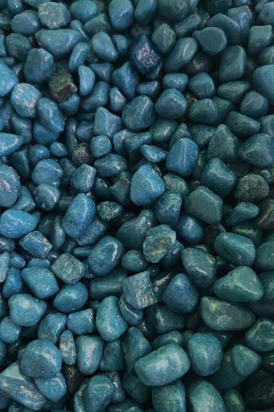 Buy Green Colored Stones | Decorative Pebbles | Plantshop.me