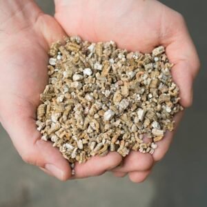 Buy Horticulture Vermiculite for Plants | Plantshop.me