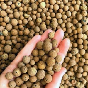 Buy Leca Clay Balls - Hydrotons for Indoor & Outdoor Plants