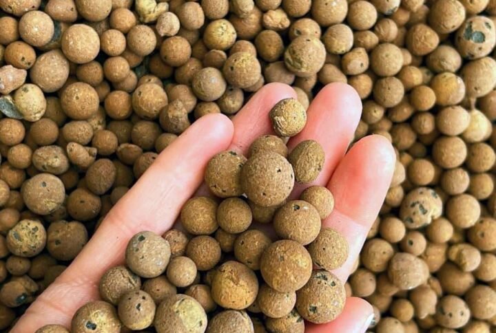 Buy Leca Clay Balls - Hydrotons for Indoor & Outdoor Plants