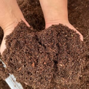 Buy Micro Greens Organic Soil Mix Online at Plantshop.me
