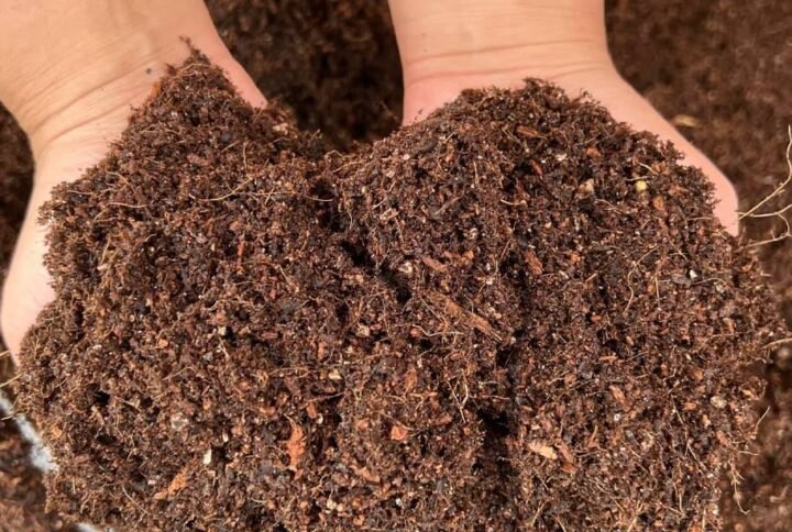 Buy Micro Greens Organic Soil Mix Online at Plantshop.me