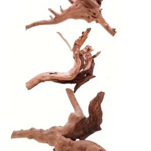 Buy Mini Driftwood for Terrariums | Plantshop.me UAE