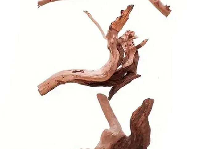 Buy Mini Driftwood for Terrariums | Plantshop.me UAE