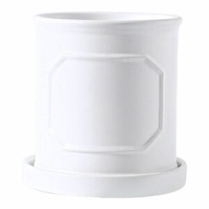 Buy Mysa Pot - Premium Plant Pots in UAE | Plantshop.me