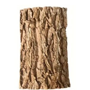 Buy Natural Cork Bark Planting Board | Plantshop.me