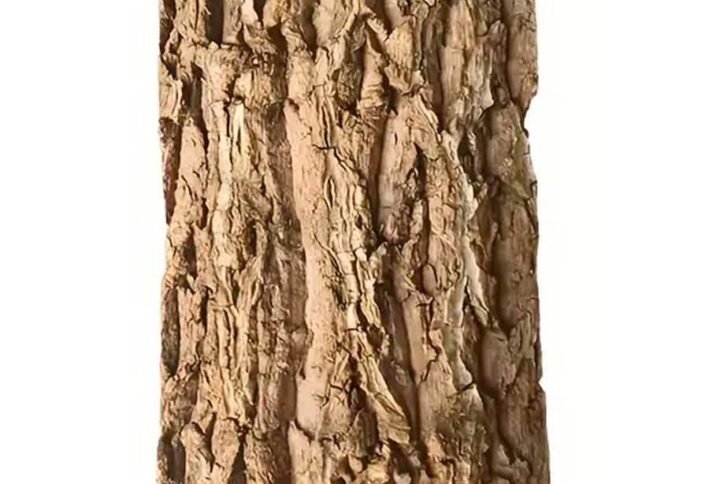 Buy Natural Cork Bark Planting Board | Plantshop.me