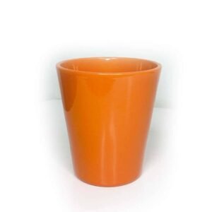 Buy Orange Pot | Plantshop.me