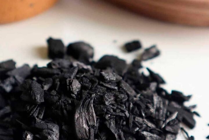 Buy Organic Bioactive Charcoal for Terrarium | Plantshop.me