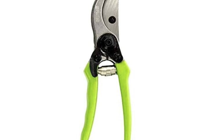 Buy Palisad 200 mm Straight Pruner - Plantshop.me