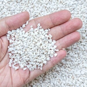 Buy Perlite for Indoor and Outdoor Plants Online