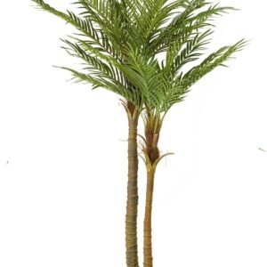 Buy Phoenix Palm 2PP Artificial Online | Plantshop.me UAE