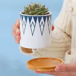 Buy Pin Mini Pot - Unique and Stylish Planter at Plantshop.me