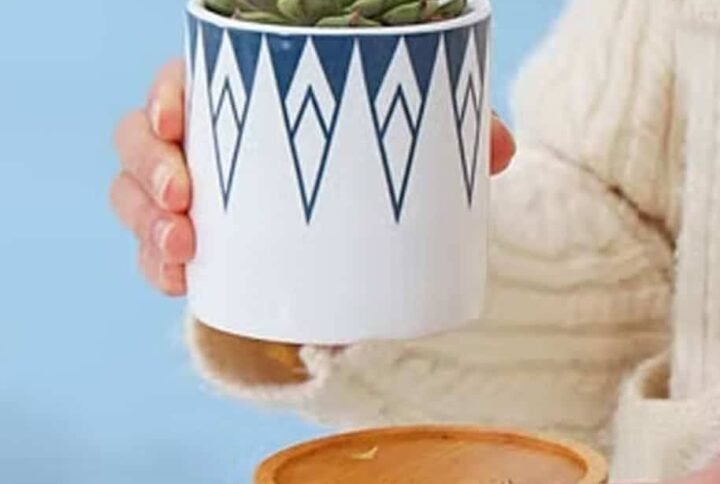 Buy Pin Mini Pot - Unique and Stylish Planter at Plantshop.me