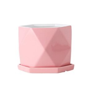 Buy Pink Poly Pot Online - Stylish Plant Holder