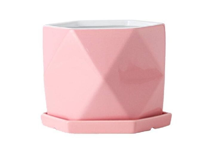 Buy Pink Poly Pot Online - Stylish Plant Holder