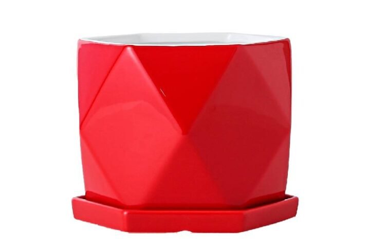 Buy Pink Poly Pot Online - Stylish Plant Holder