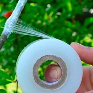 Buy Plant Grafting Tape | Plantshop.me UAE