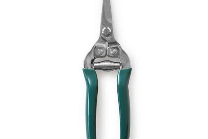 Buy Plant Snipper - Top Quality at Plantshop.me UAE