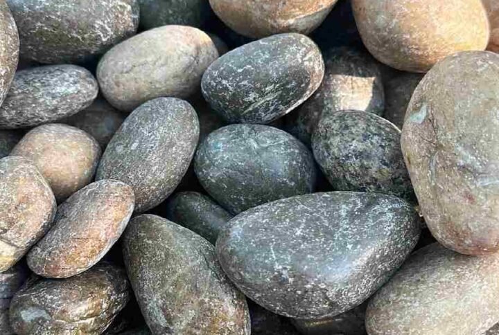 Buy Polished River Stone - Decorate Your Garden | Plantshop.me