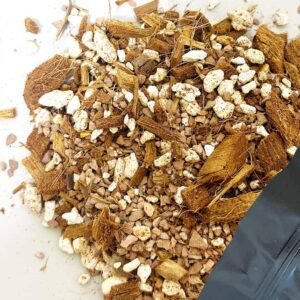 Buy Premium Bonsai Soil Mix Online – Plantshop.me UAE