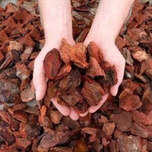 Buy Premium Pine Bark Mulch for Healthy Gardens in UAE